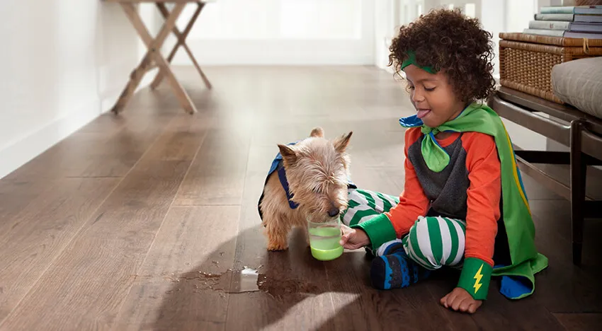 Healthier home through clean hardwood floors